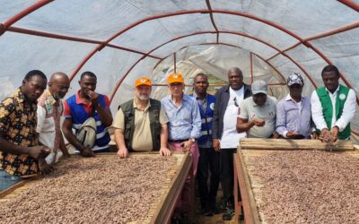 Cacao&Friends Camerun— Il Cioccolato che Nasce dall’Albero
